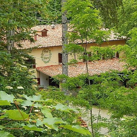 Agriturismo Fonte Magria Абадиа Сан Салваторе Екстериор снимка