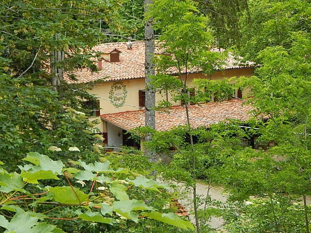 Agriturismo Fonte Magria Абадиа Сан Салваторе Екстериор снимка