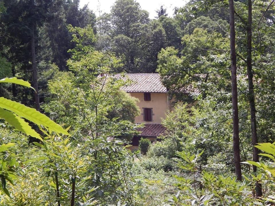 Agriturismo Fonte Magria Абадиа Сан Салваторе Екстериор снимка